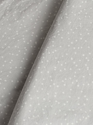 OYSTER MICRO STARS